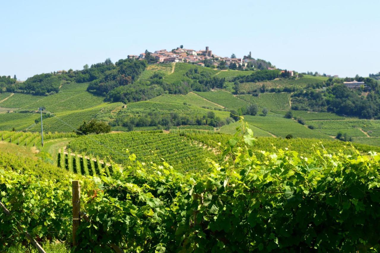 Bed & Tours Dimora Di Campagna Bed & Breakfast Castelnuovo Belbo Ngoại thất bức ảnh