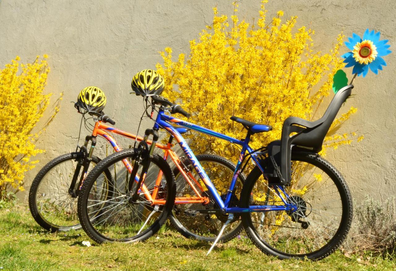 Bed & Tours Dimora Di Campagna Bed & Breakfast Castelnuovo Belbo Ngoại thất bức ảnh